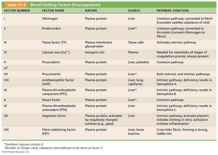 development and regeneration of the nervous