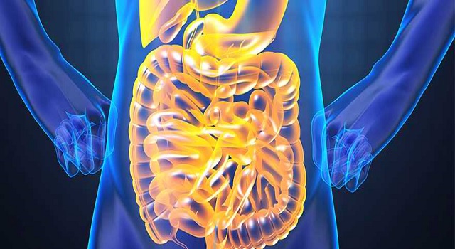 Acupuncture for Weight Loss digestion