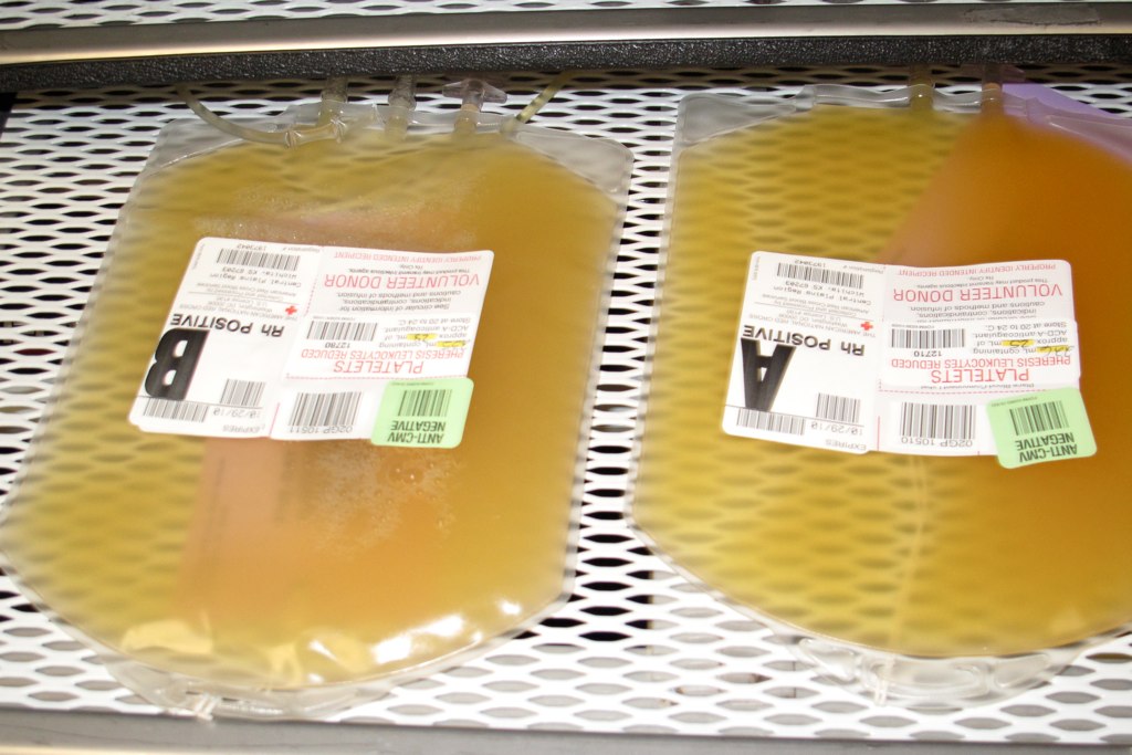 10-Step Platelet Formation Process