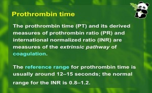 what is prothrombin protime