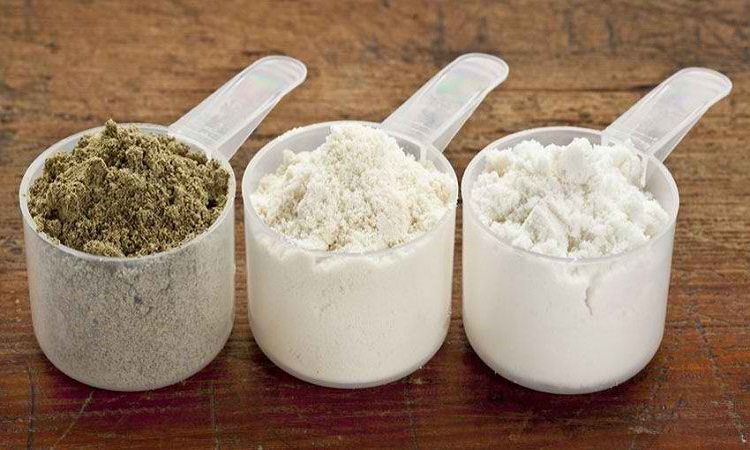 best weight loss powder