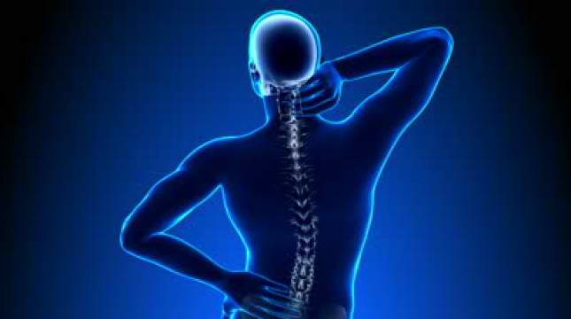 back pain exercises