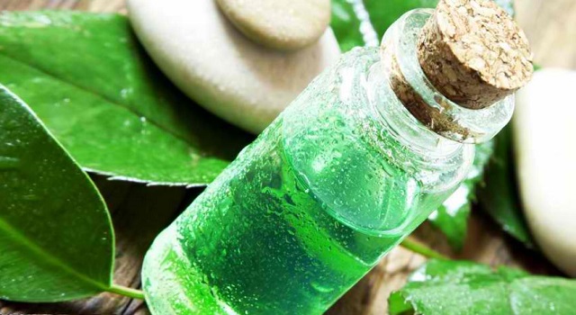 Best
Toenail Fungus Treatment Tea Tree Oil