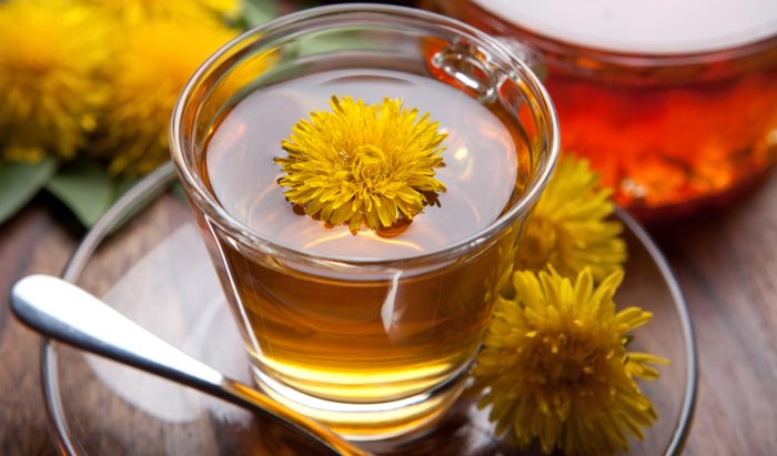 Dandelion Root Tea Benefits