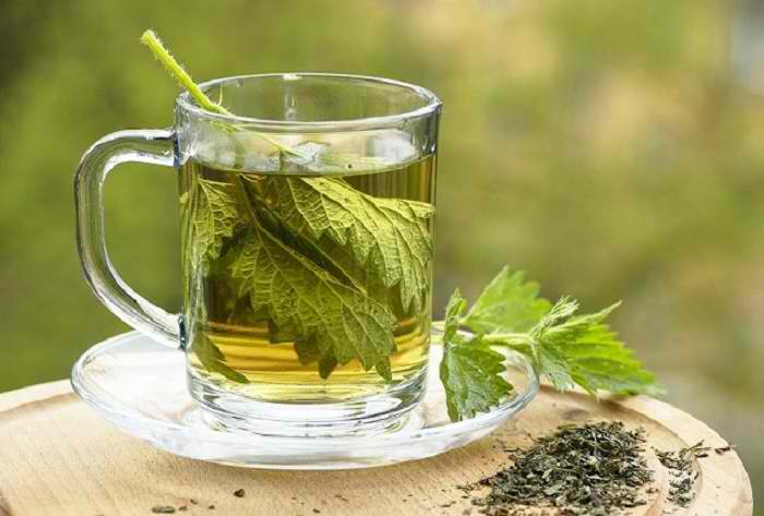 Stinging Nettle Leaf Tea Benefits