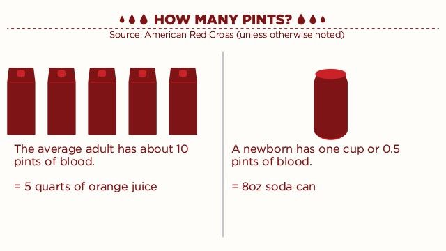 how much blood is in the human body