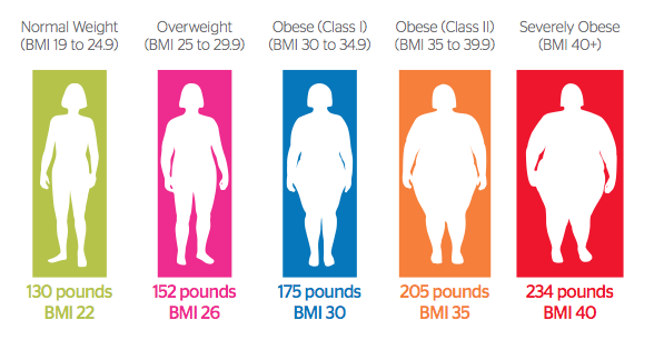 Overweight Obese Morbidly Obese Chart