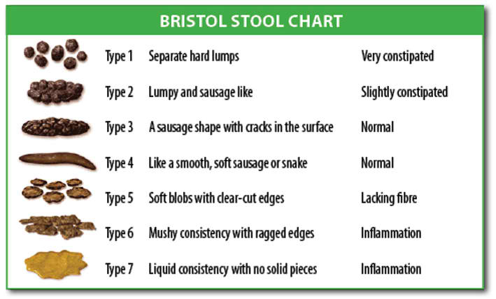 stool-chart-download