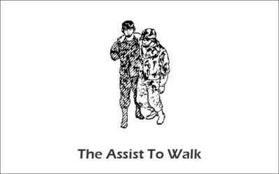 Assist To Walk One Man Carries for Emergency Rescue and First Aid